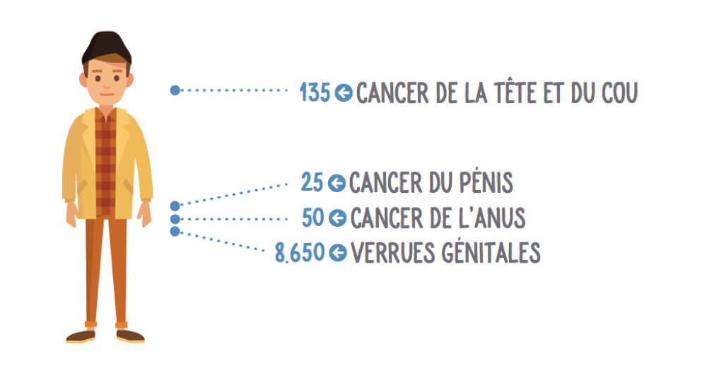 Estimation du nombre moyen de nouveaux cas de cancers et de verrues génitales liés à l’HPV par an en Belgique.